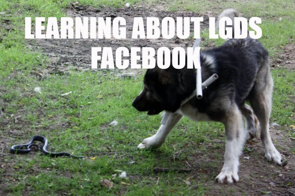 Learning about lgds